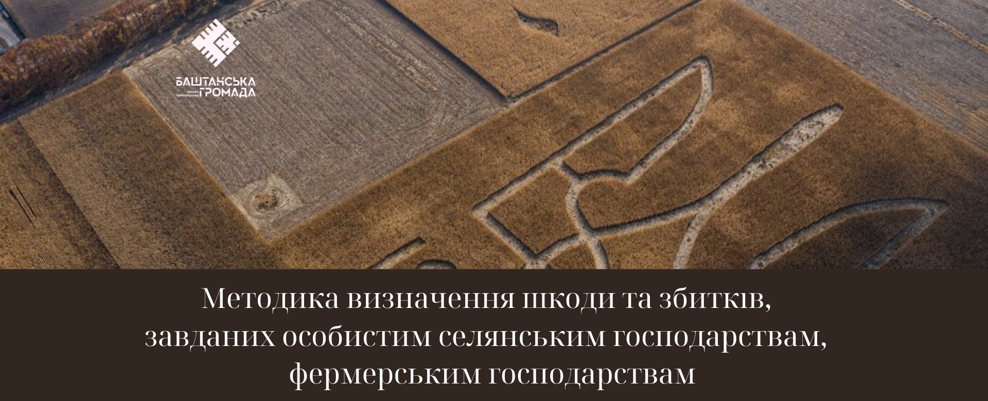 Про методику визначення шкоди та збитків | Новини | Баштанська міська  територіальна громада